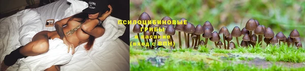 винт Нефтекумск